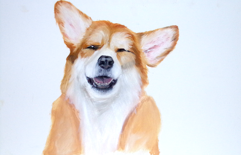 Corgi
